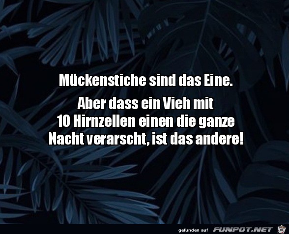 Mückenstiche Mückenstiche