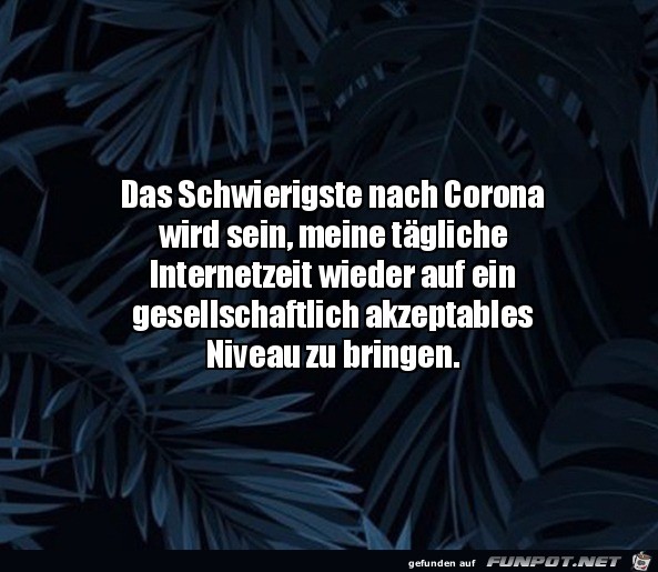 Internetzeit Internetzeit