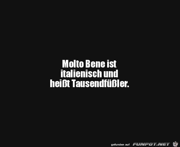 Tausendfüßler Tausendfüßler