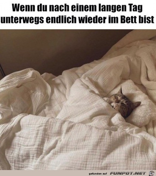 Endlich im Bett