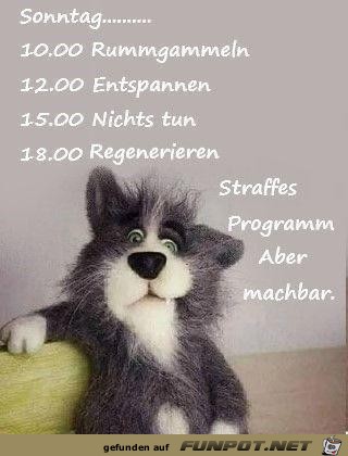 Straffes Programm