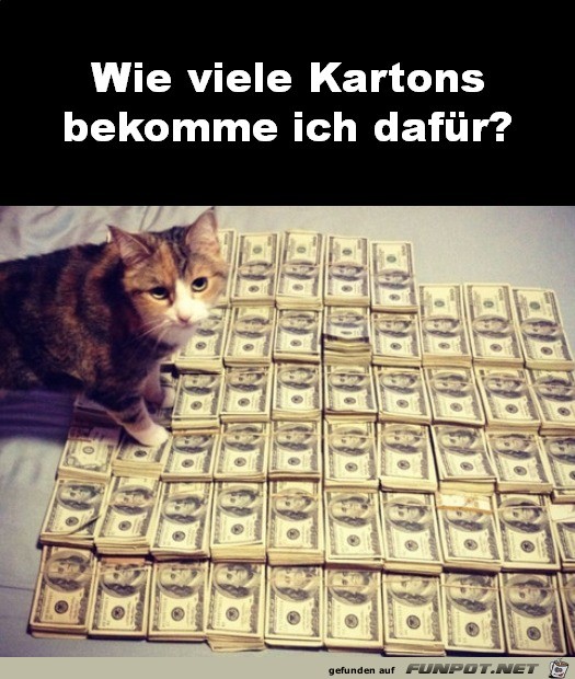 Ich will Kartons