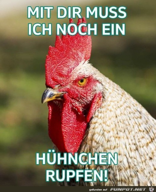 Hhnchen rupfen