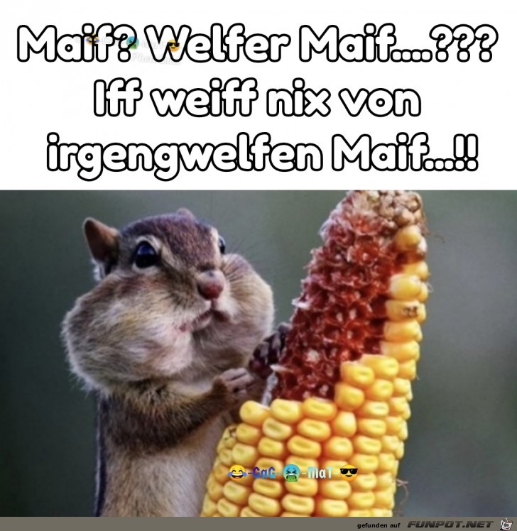 Maif??