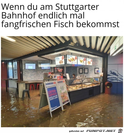 Frischer Fisch in Stuttgart