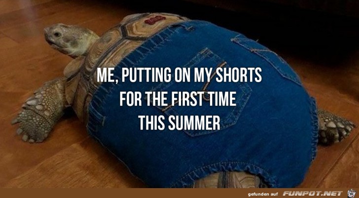 Die Shorts zum ersten mal an