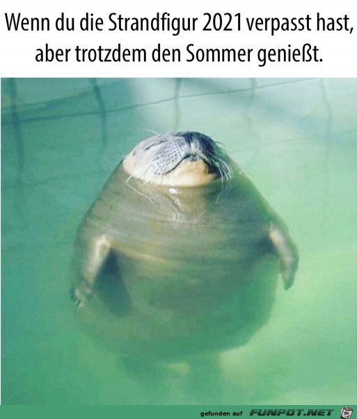 Den Sommer genieen