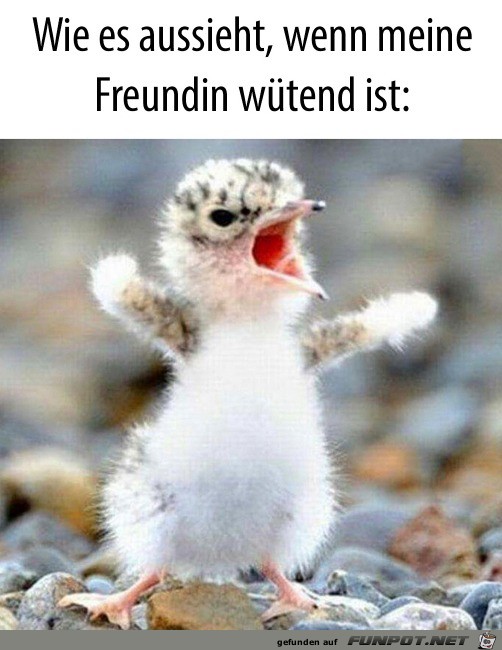 Wenn meine Freundin wtend ist