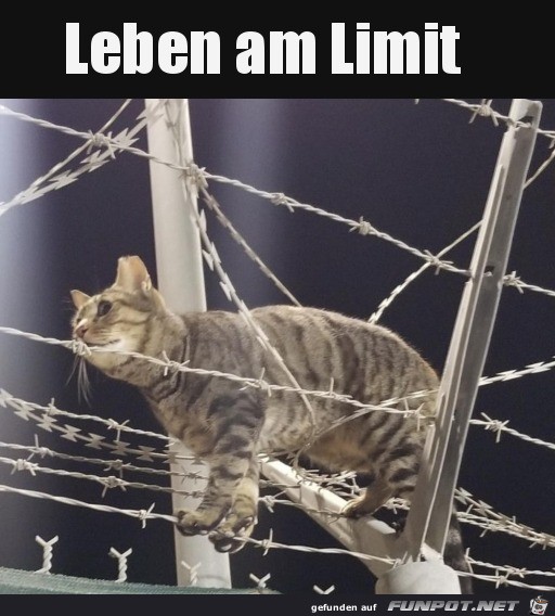 Leben am Limit