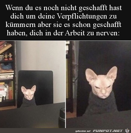 Nervende Leute