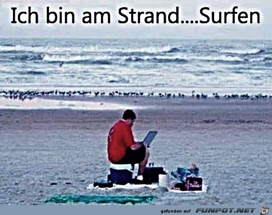 Am Strand surfen