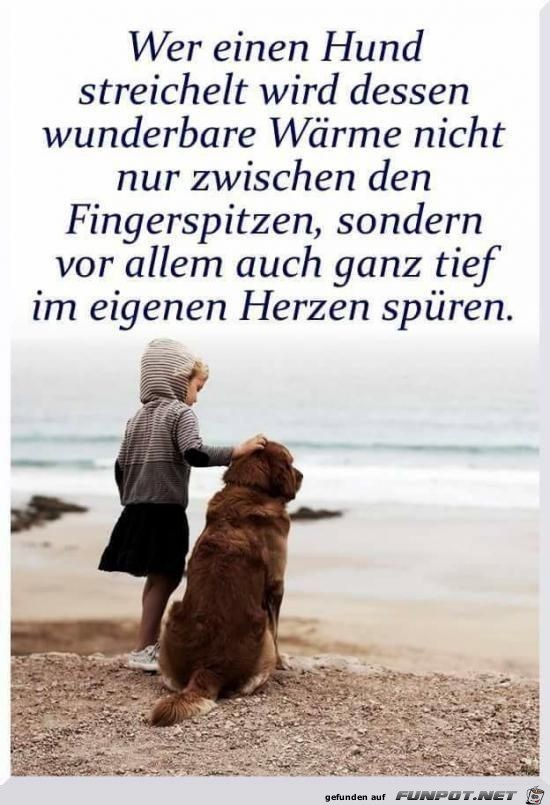 Wer einen Hund streichelt