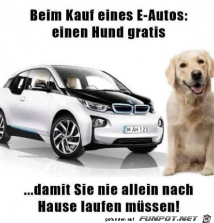 Hund gibt es gratis dazu