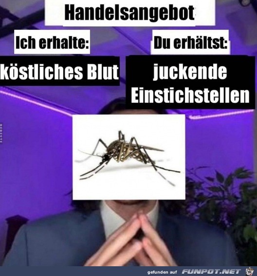 Die Stechmcken