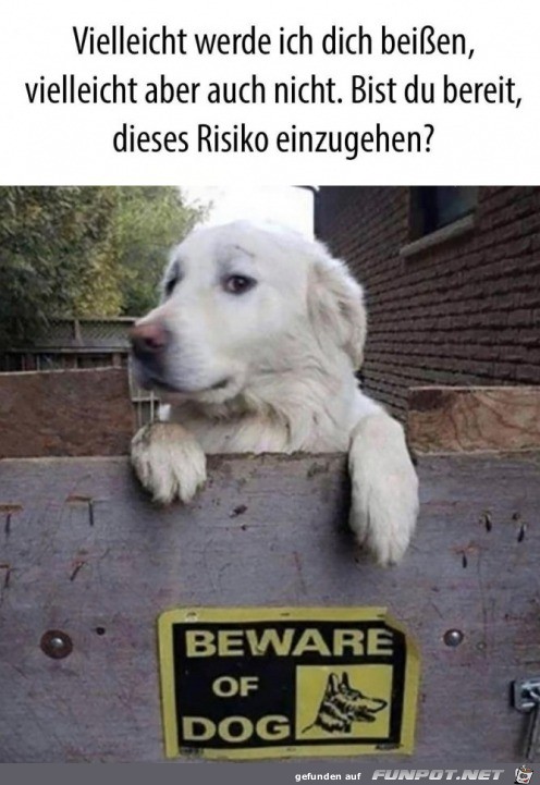 Gefhrlicher Hund