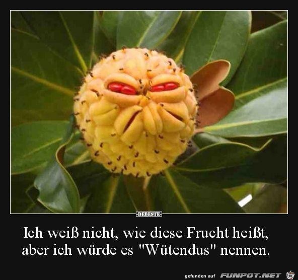 Ich wei nicht wie diese Frucht heit