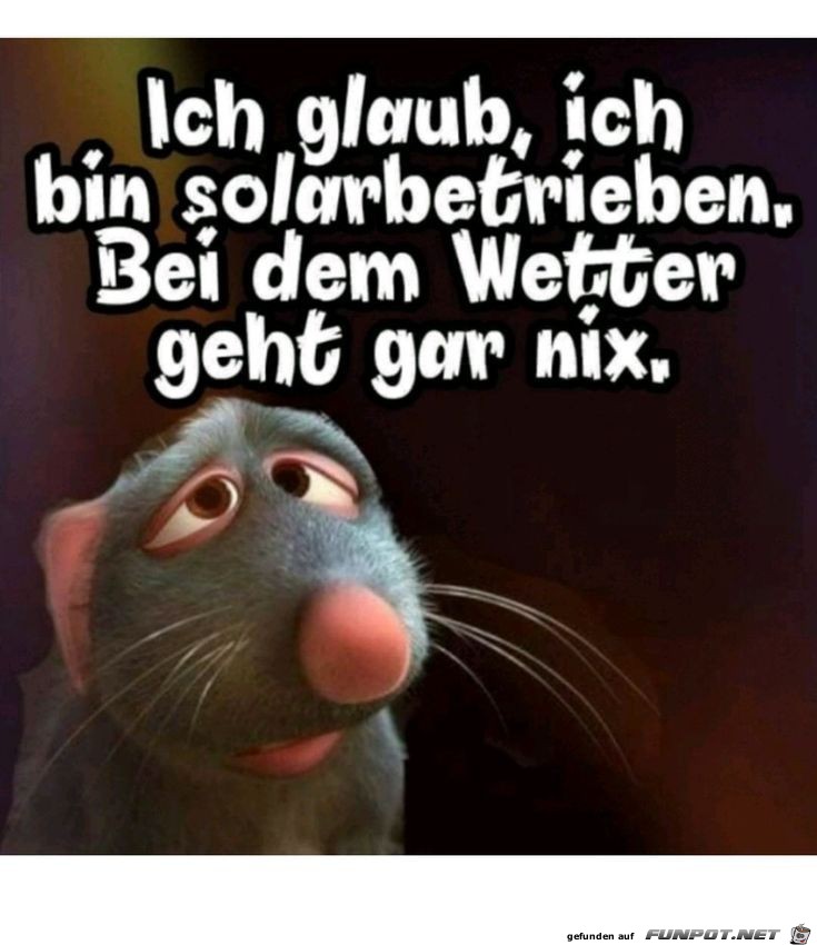 Ich glaub, ich bin