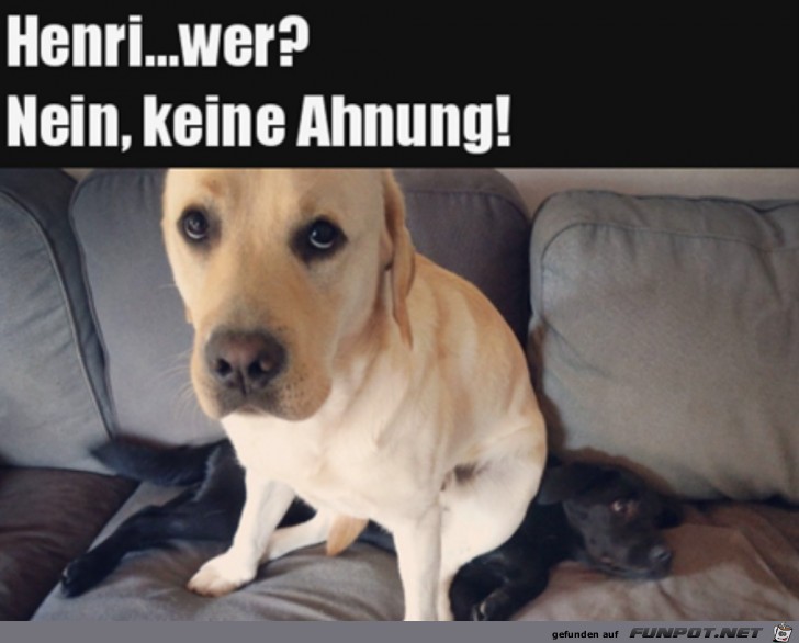 Wer ist Henri?