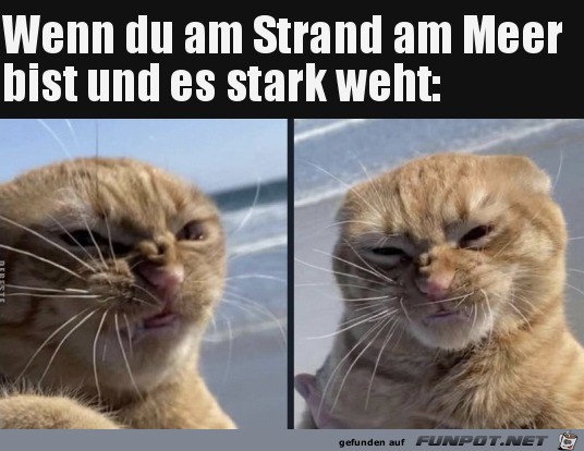 Wenn es stark weht