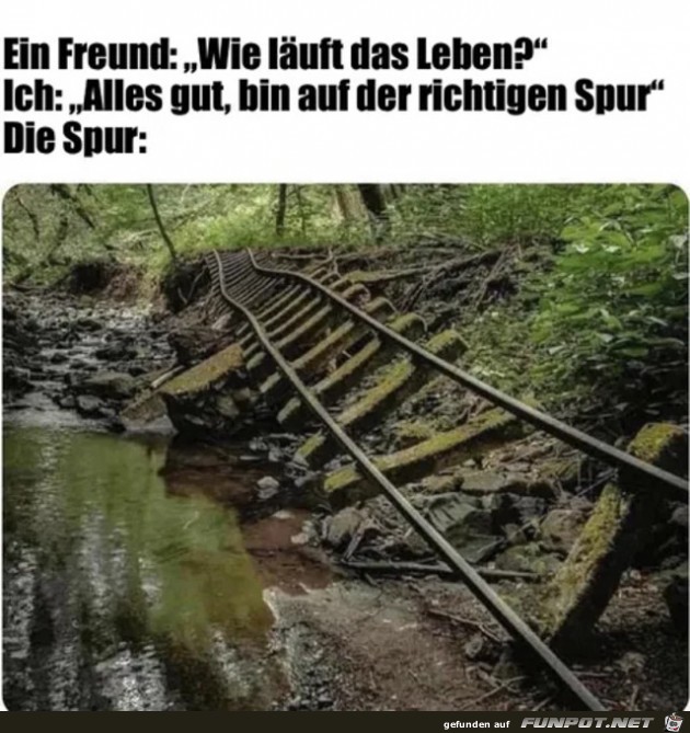 Die richtige Spur