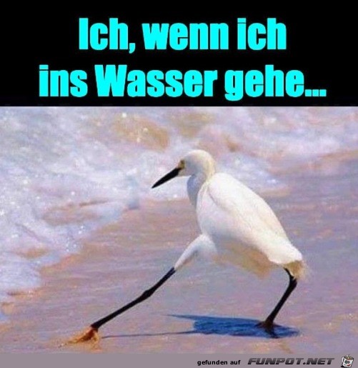 Wenn ich ins Wasser gehe