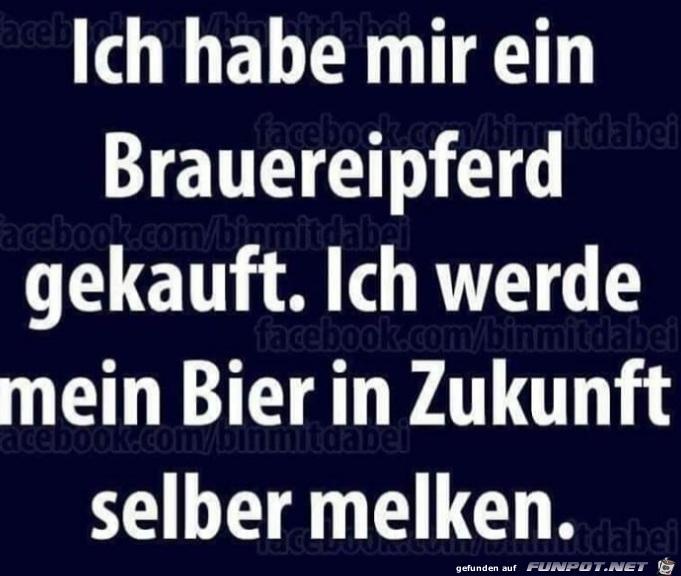 Das Brauereipferd