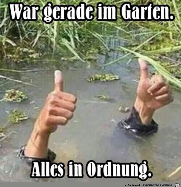 Im Garten ist alles okay