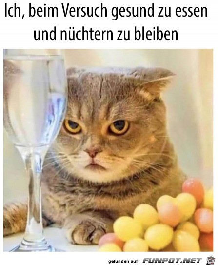 Das ist nicht meins