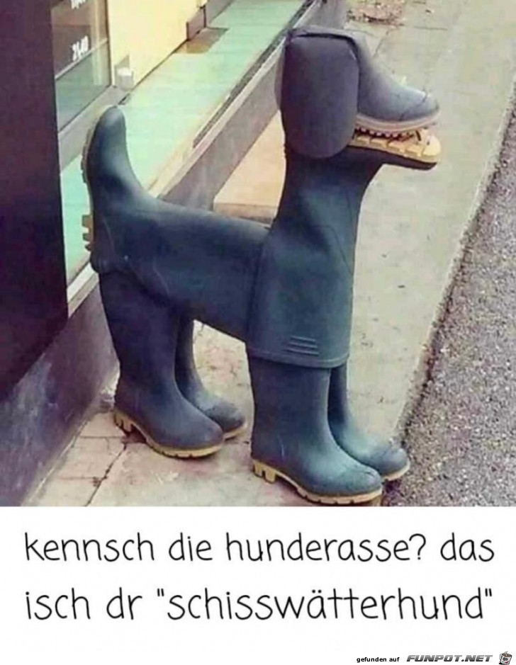 Komische Hunderasse