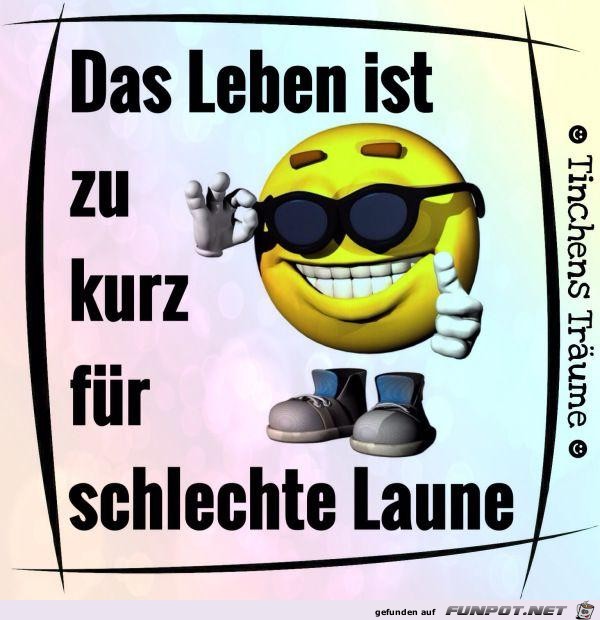 Lustiger Spruch: 'Das Leben Ist Zu Kurz Für Schlechte Laune'