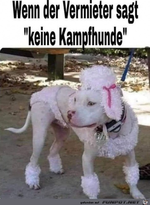 Keine Kampfhunde erlaubt