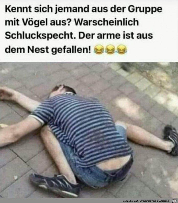 Er ist aus dem Nest gefallen