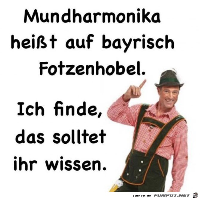 Mundharmonika auf bayrisch