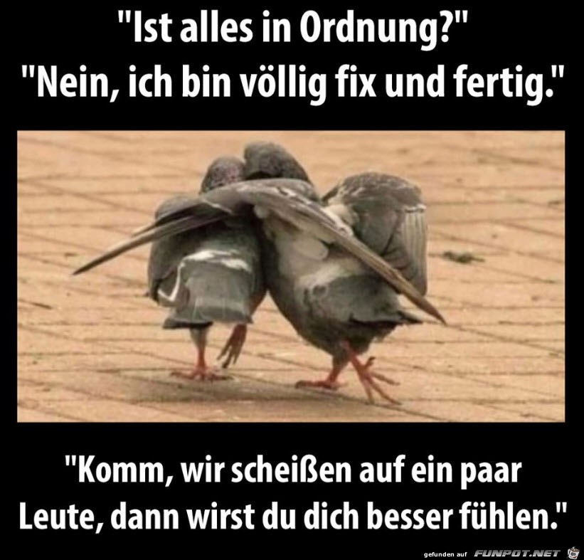 alles in Ordnung?