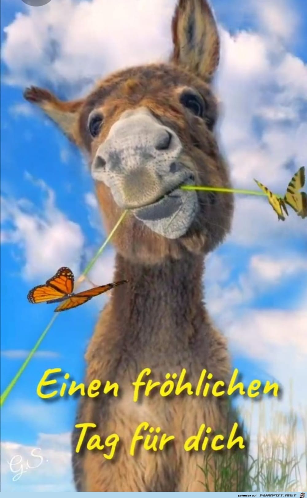 froehlicher Tag