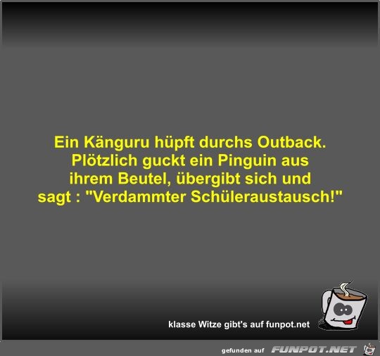 Ein Knguru hpft durchs Outback