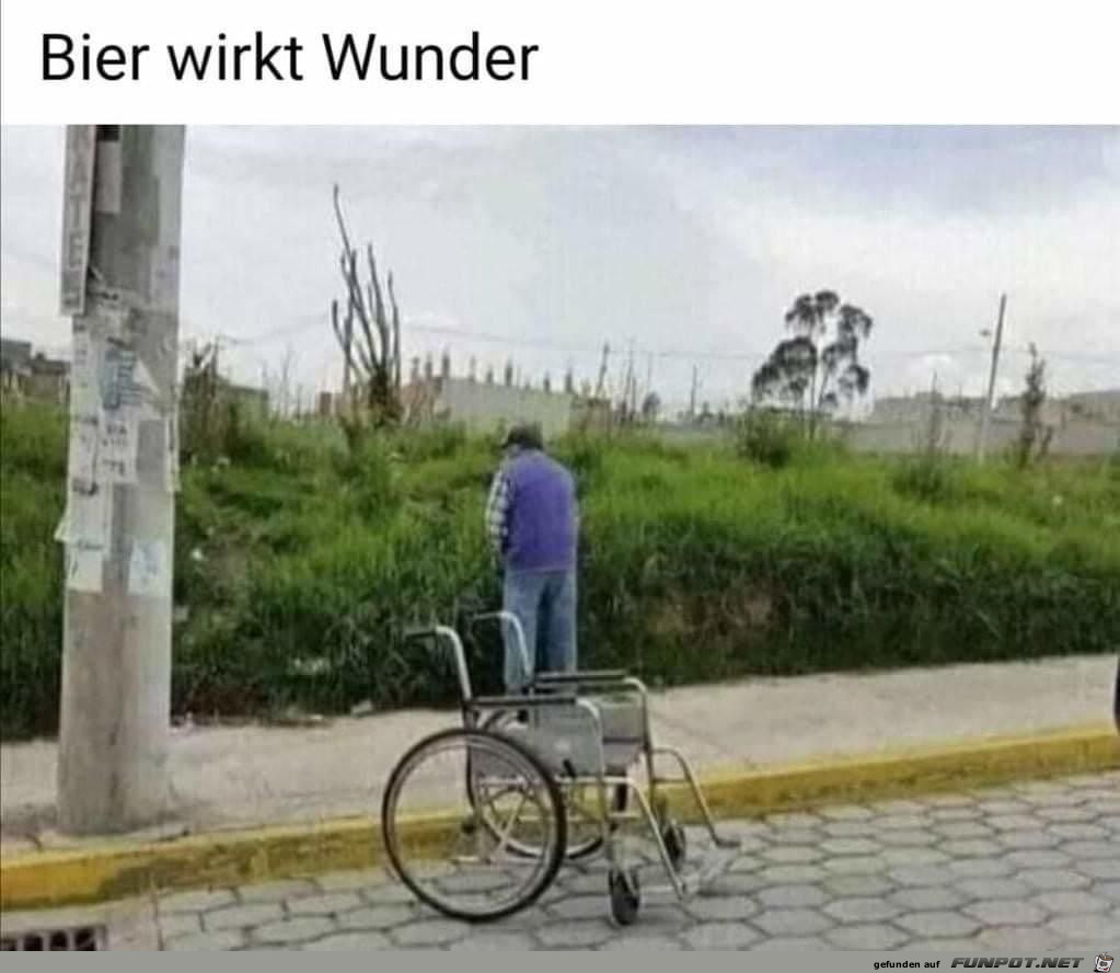 Wunder gibt es immer wieder