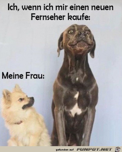 Der Blick meiner Frau