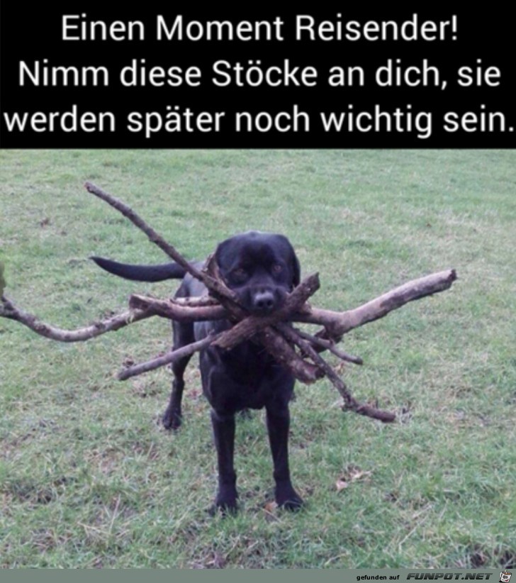 Nimm diese Stcke