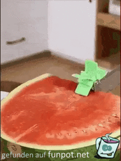 Melone sauber portionieren