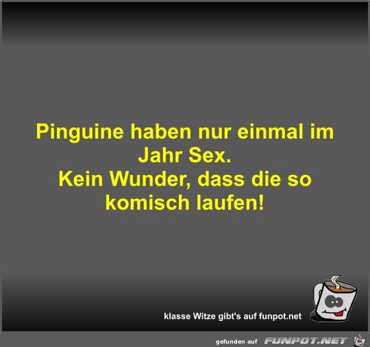 Pinguine haben nur einmal im Jahr Sex