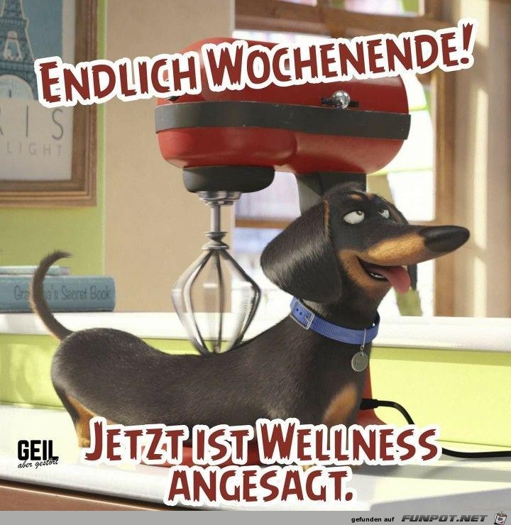 Endlich Wochenende !