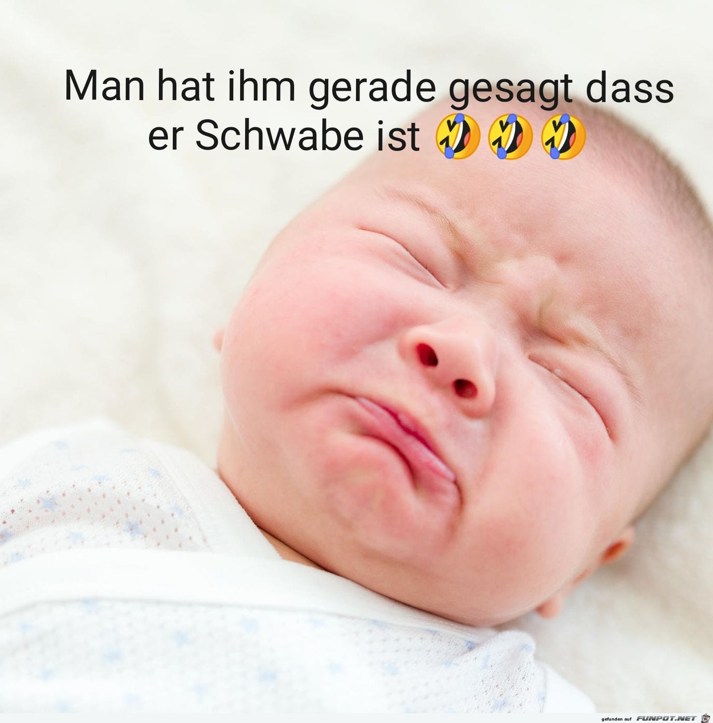 ein Schwabe ein Schwabe
