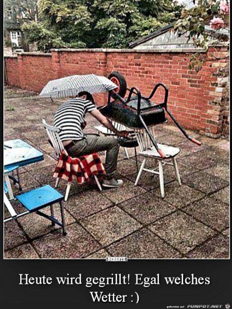 Grillen Grillen