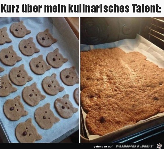 Mein Back-Talent