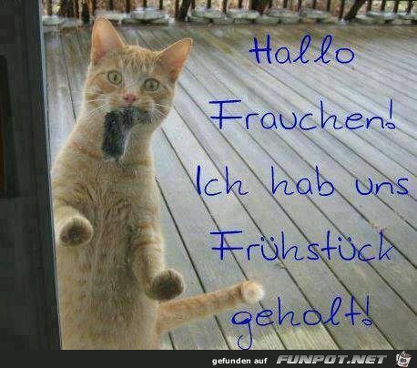 Hallo Frauchen 