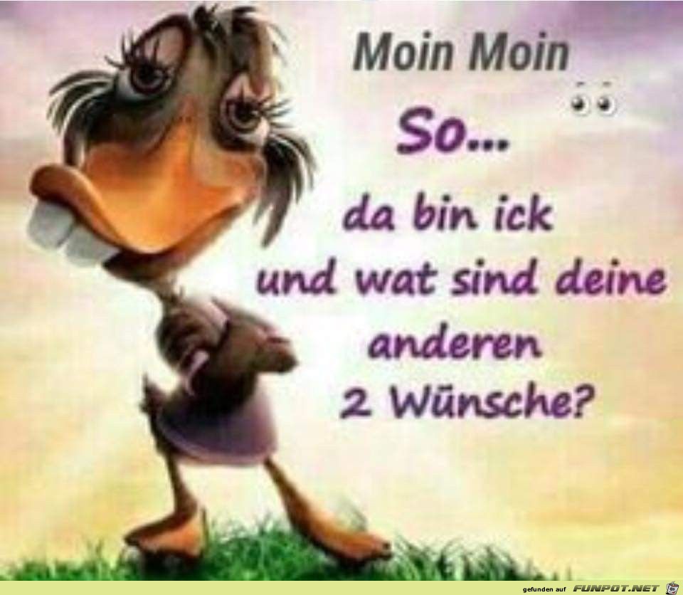 Moin Moin