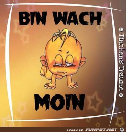 Bin wach, Moin