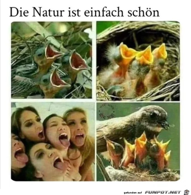 Schne Natur