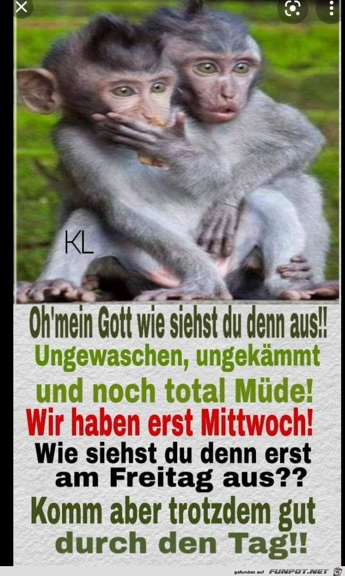 Mittwoch